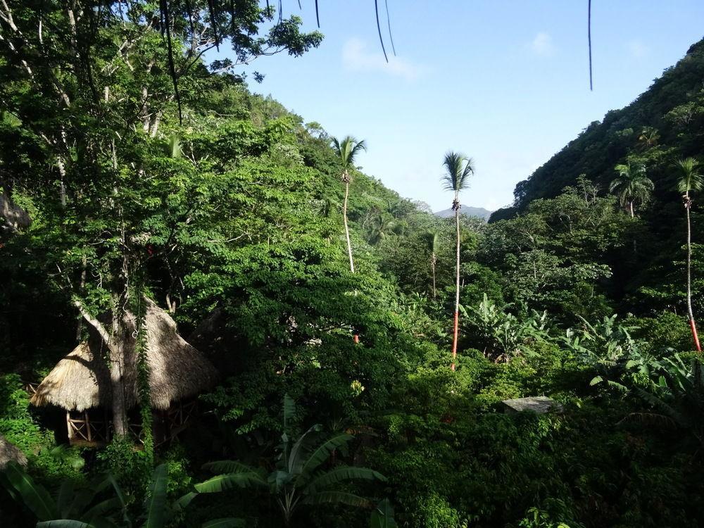 Dominican Tree House Village Santa Barbara De Samana Exterior foto